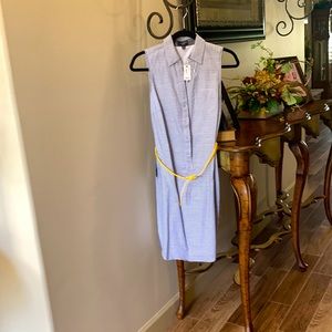 The Limited Ashton Dress